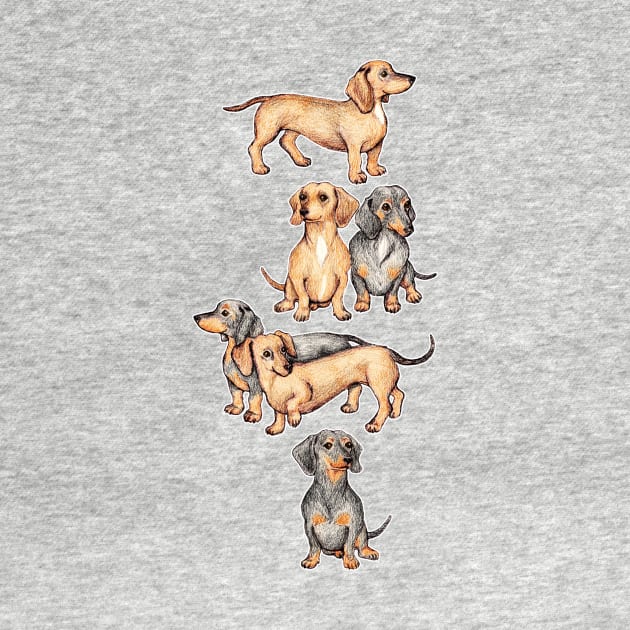 Adorable Dachshunds by micklyn